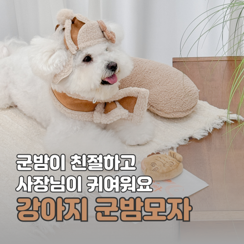 유우블리(U_vely) 이미지