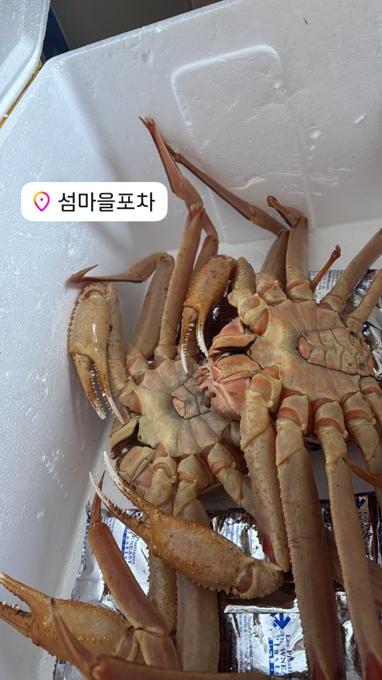 포에버포차 이미지