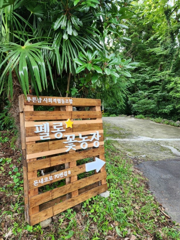 함께놀장 이미지
