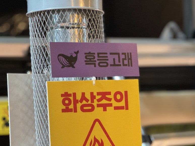 캠핑고래 이미지