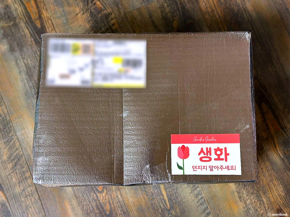 야곱의정원 이미지