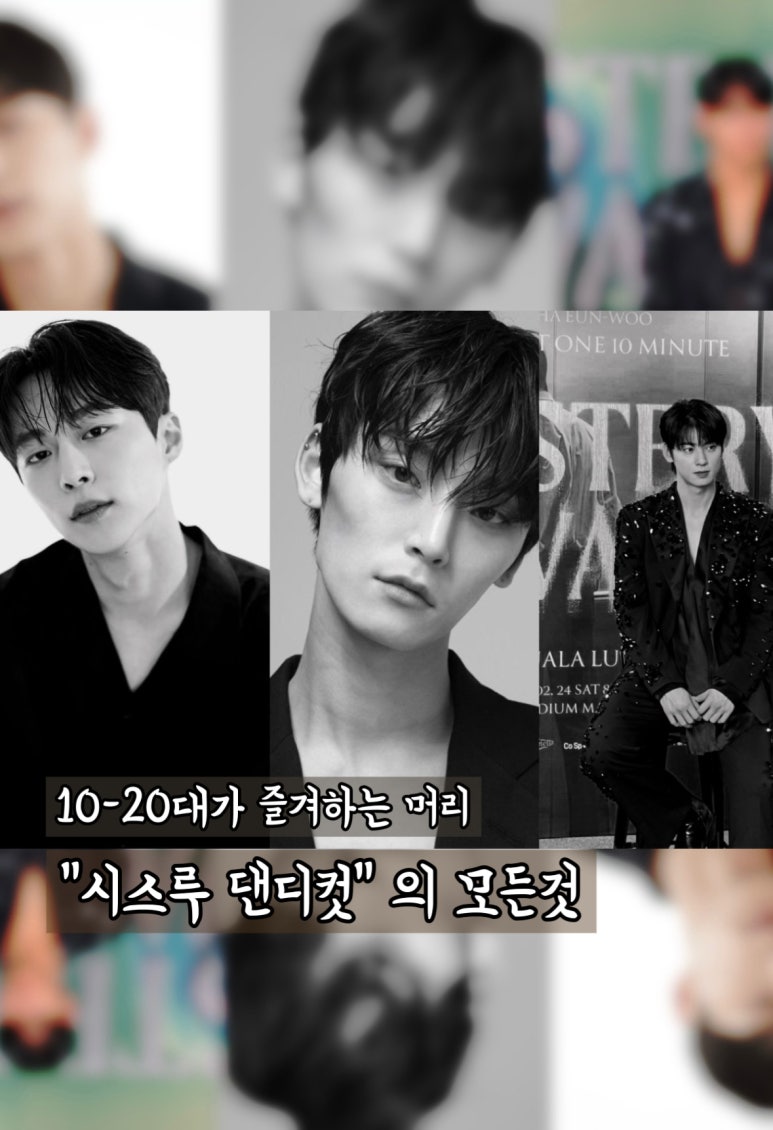 뮤에르 청담 이미지