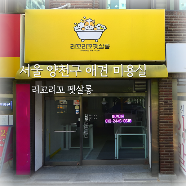 리꼬리꼬 이미지