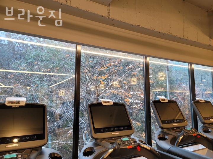 브라운짐 이미지