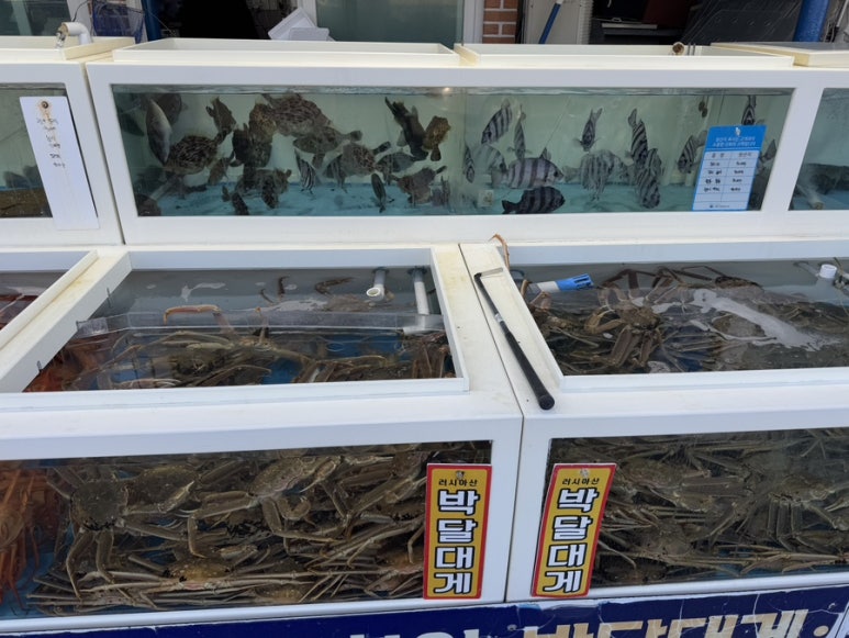 부산대게횟집 이미지