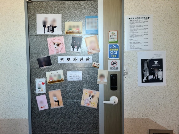 코코사진관 이미지