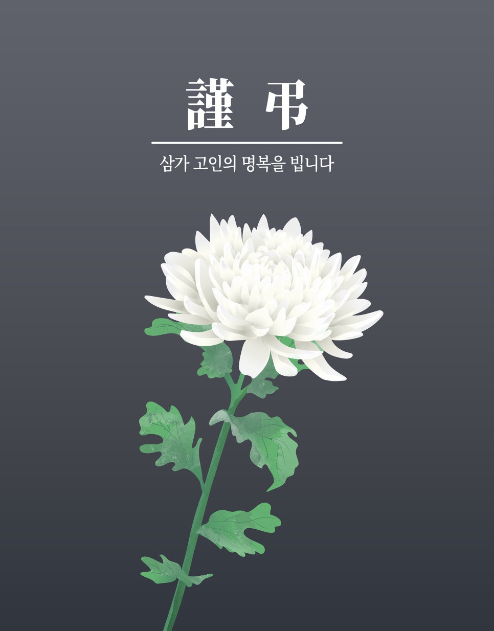 리버플로우 이미지