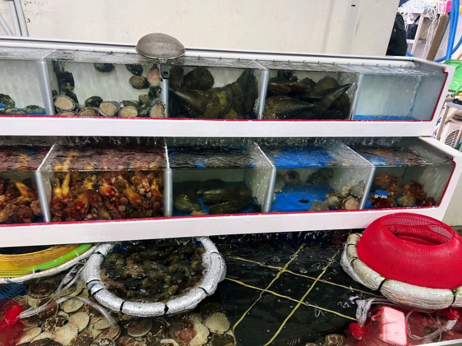 참치공주 이미지