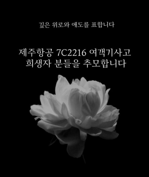 숲속의다이어트캠프 이미지
