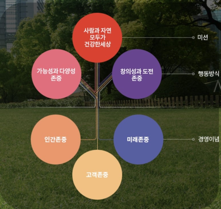 대상푸드플러스주식회사 이미지