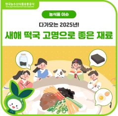 다가오는 2025년☀️새해 떡국 고명으로 좋은 재료(feat. 맛있는 떡국 레시피) 바로가기