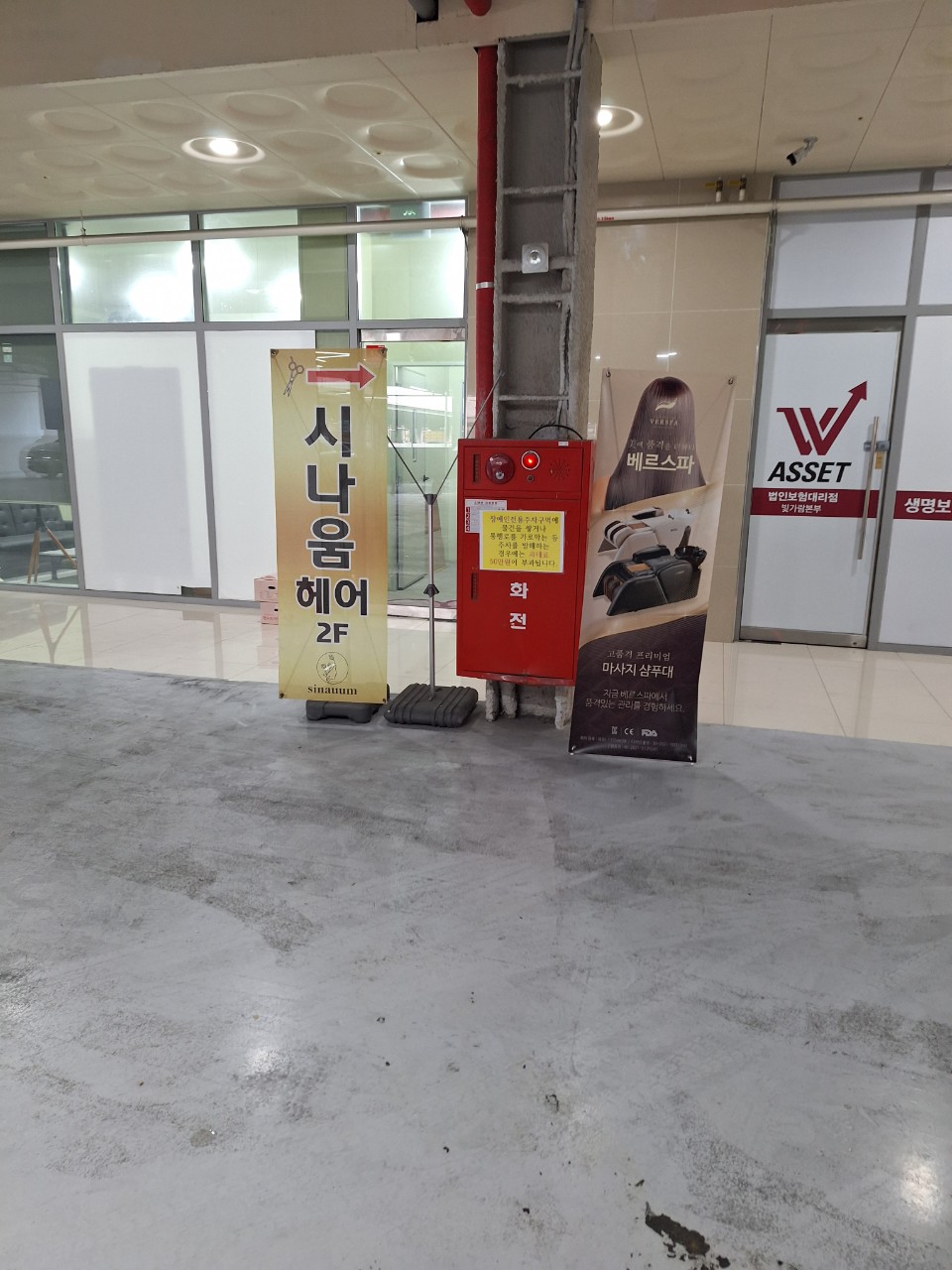 시나움 이미지