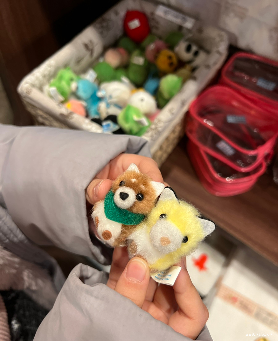 화르곰 이미지