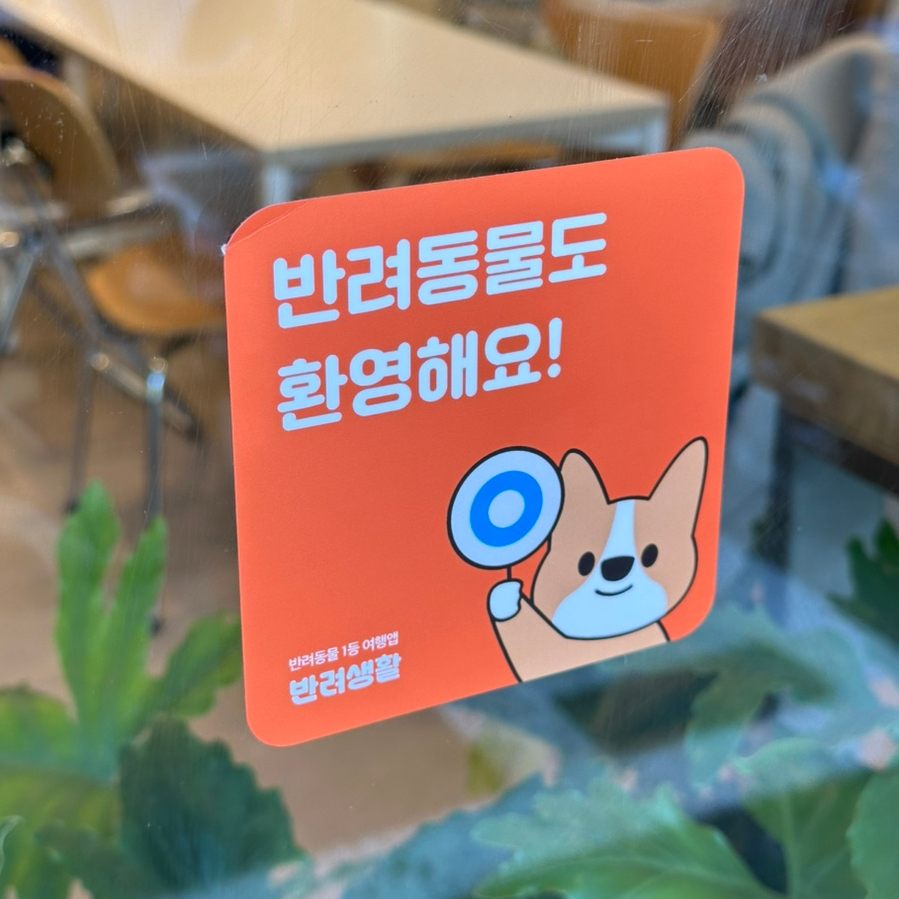 서울 강남 애견동반 카페 모모베이글 브런치 후기 — 사진 8