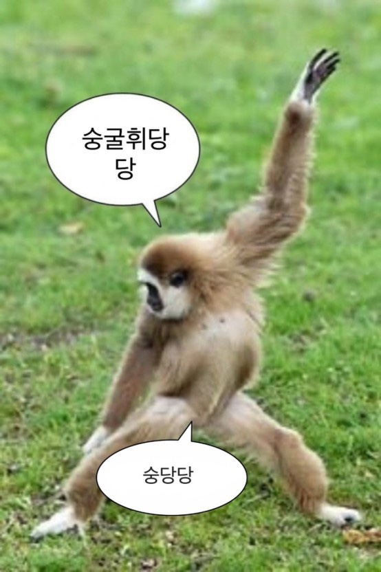 국제전자 이미지