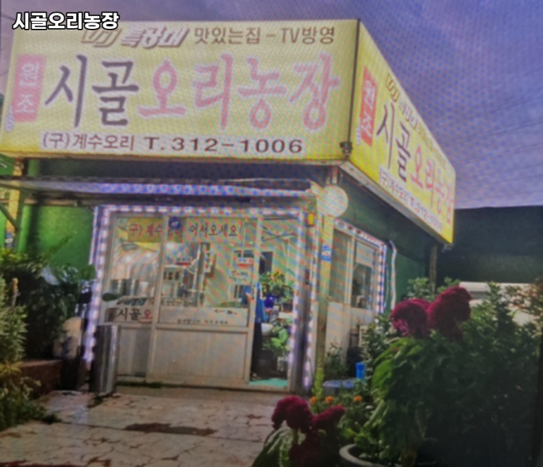 시골오리 이미지