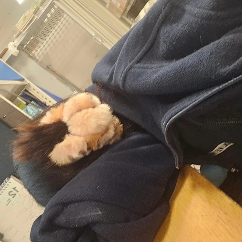 선영인력 이미지
