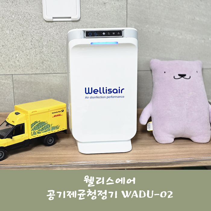 웰리스에어 이미지