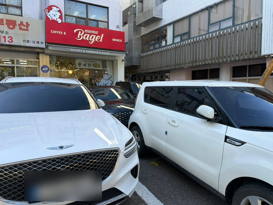 서울 강남 애견동반 카페 모모베이글 브런치 후기 — 사진 4