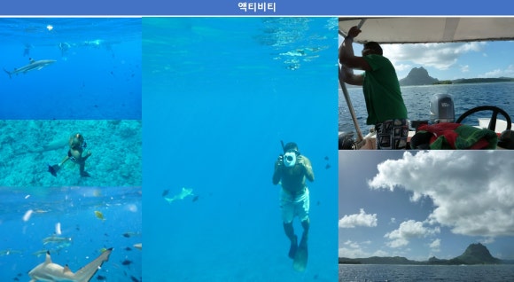 요라나 이미지