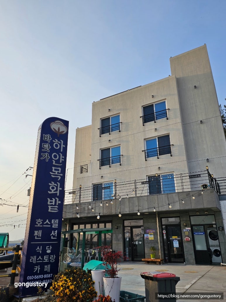 바닷가하얀목화밭 이미지