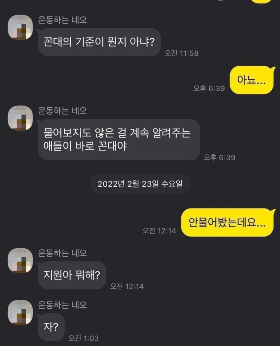 일파라디소 이미지