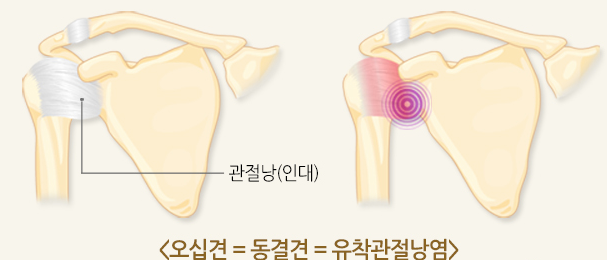 한마음 주간보호센터 이미지