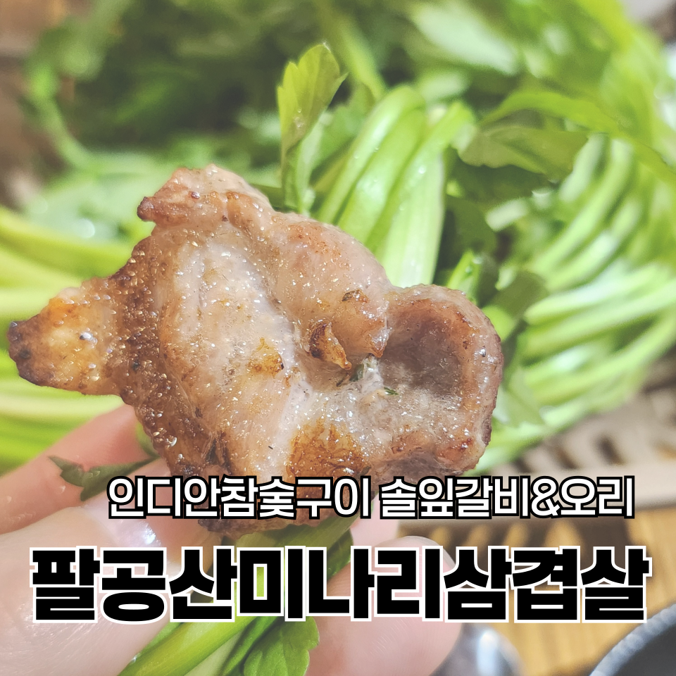 인디안참숯구이 이미지
