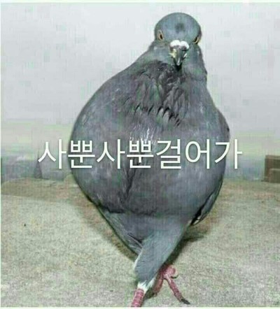자연예서 이미지