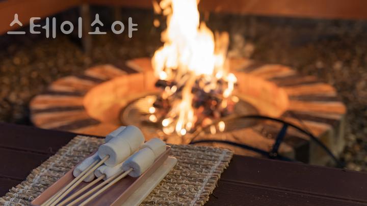 스테이소야 이미지