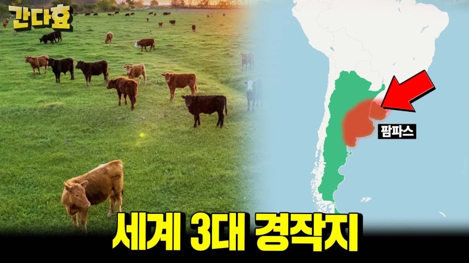 (주)팜파스 이미지