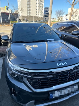 흑석점기아오토큐 이미지