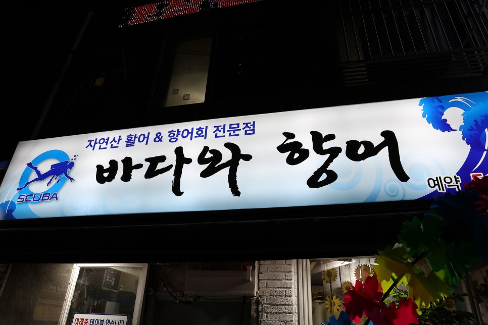 오늘은향어 이미지