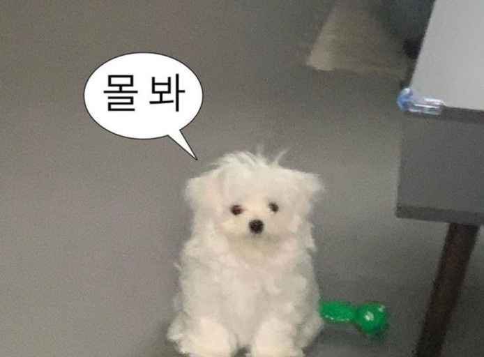 안녕하세요 이미지