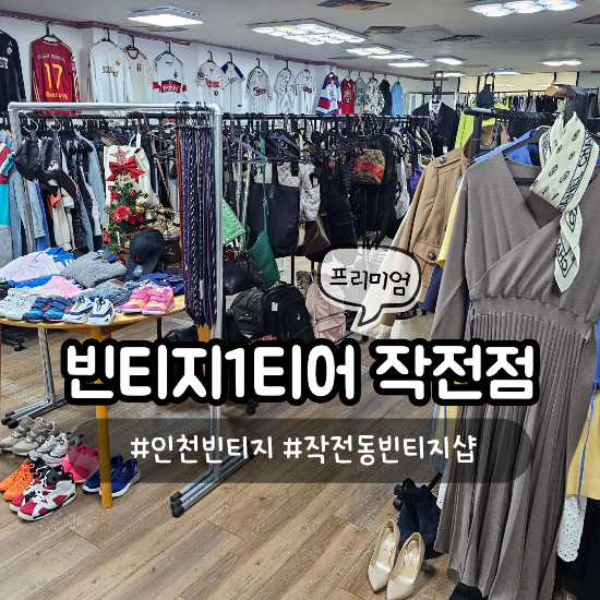 빈티지1티어 이미지