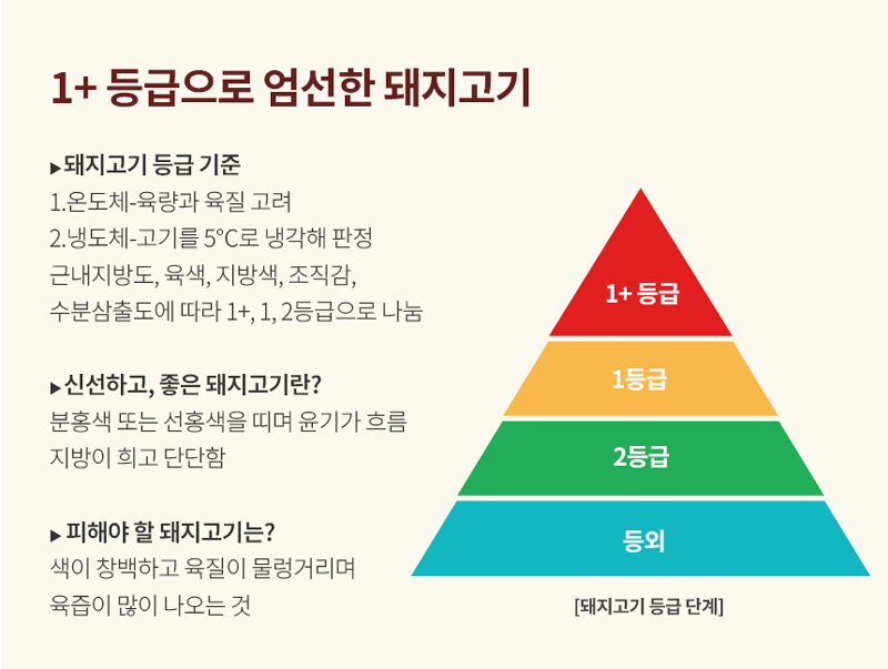 오늘잡은소 이미지