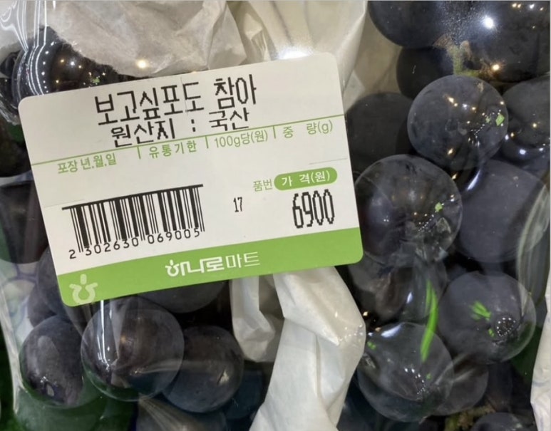 몽유 이미지