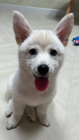 조각집 이미지