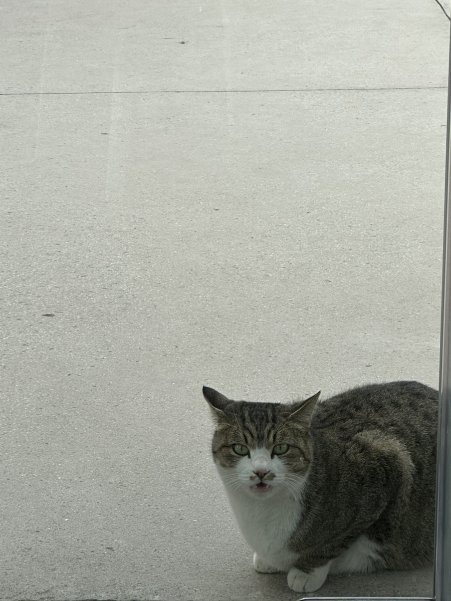 프룩(FRUK) 이미지