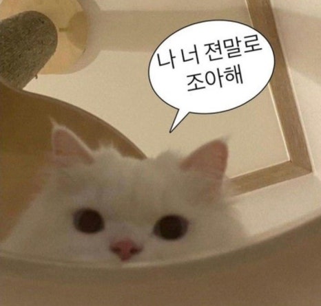 위시투어 이미지