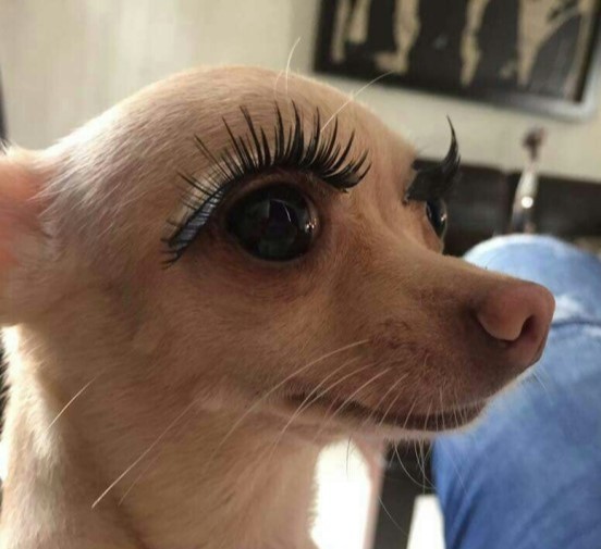 살롱더함 브로우 이미지