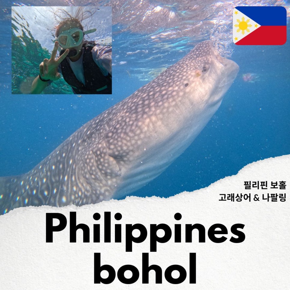 비오비트레블 이미지