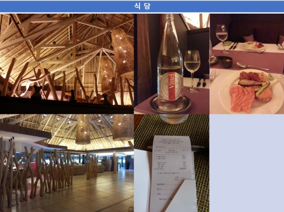 요라나 이미지