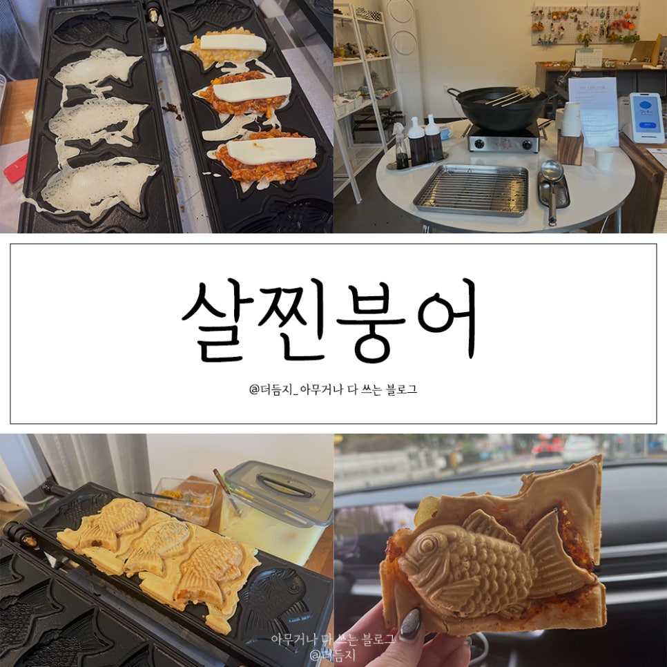살찐붕어 이미지