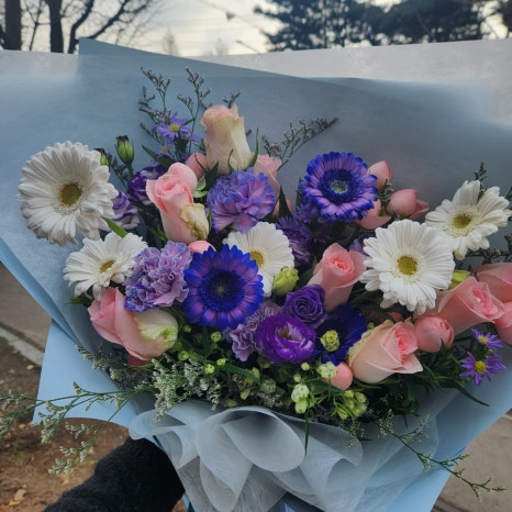 푸른생화 이미지