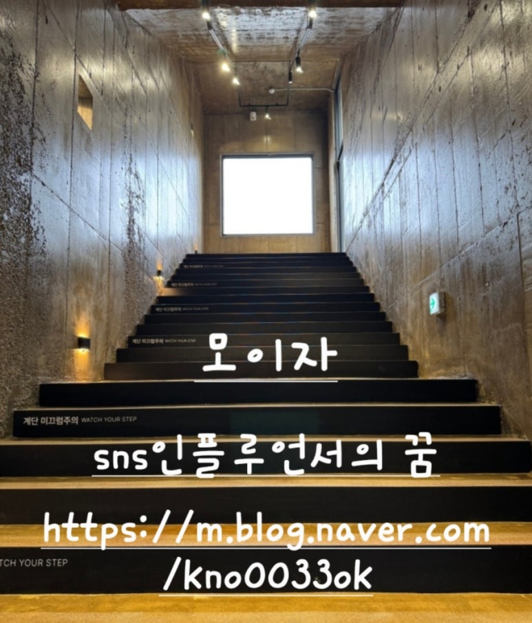 하미수 이미지