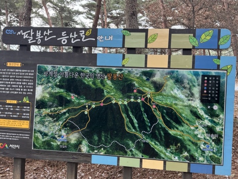 욜로종합관리 이미지