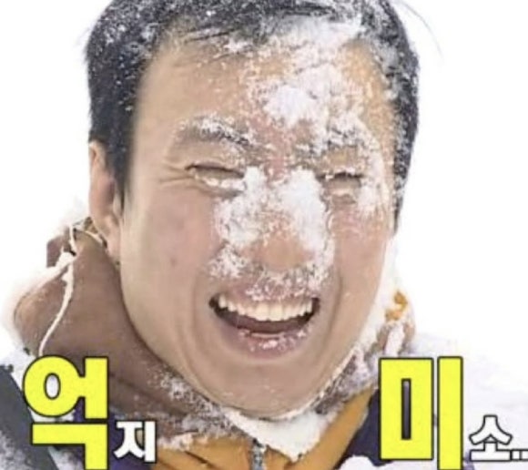 매일 크리스마스 이미지