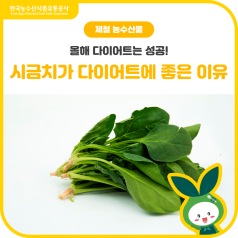 내년 다이어트🏃‍♀️는 성공!?💚시금치💚가 다이어트에 좋은 이유 바로가기