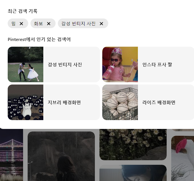 디사이트 이미지